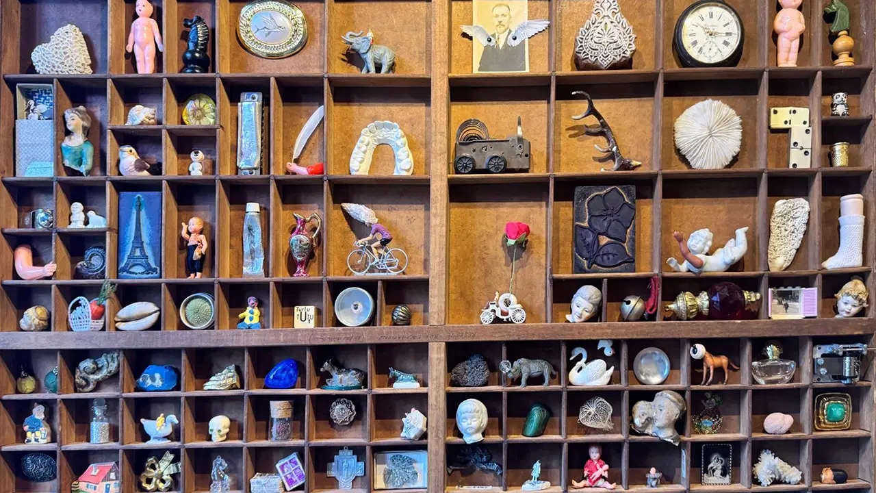 Um passeio pela exposição “Curieux Cabinet” em Nancy