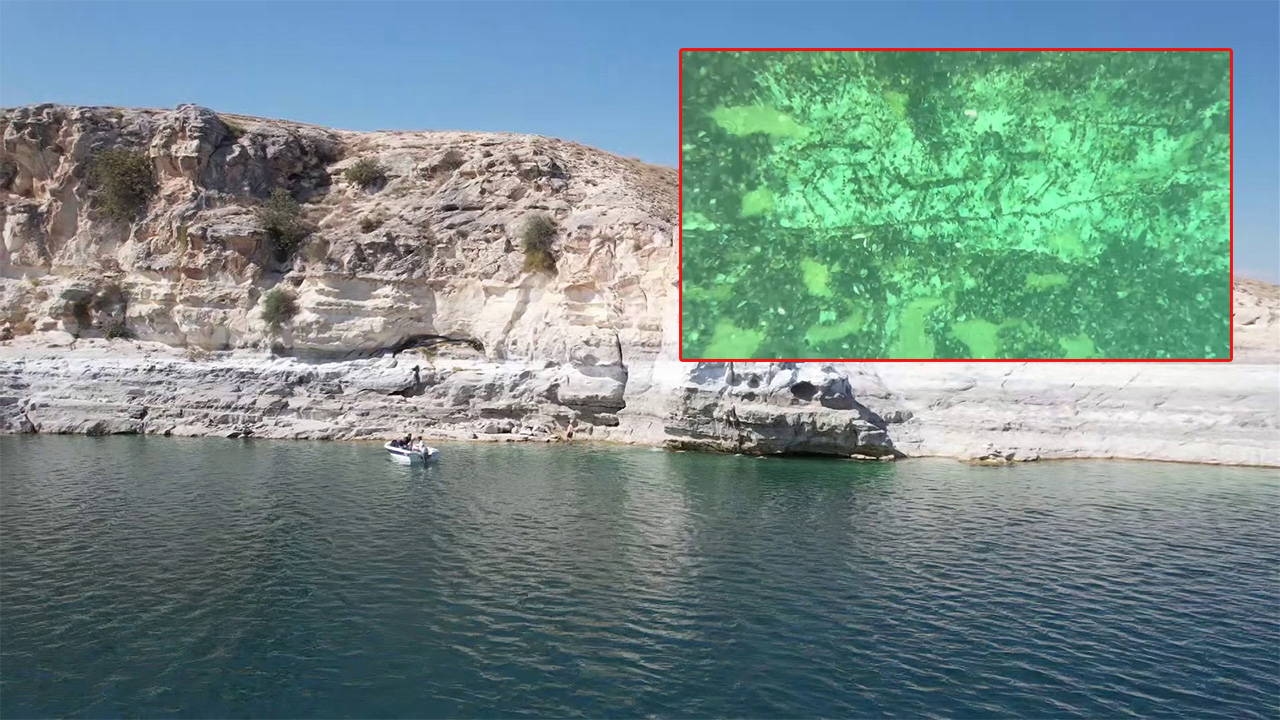 12,000-year-old rock paintings were seen underwater in Adıyaman.