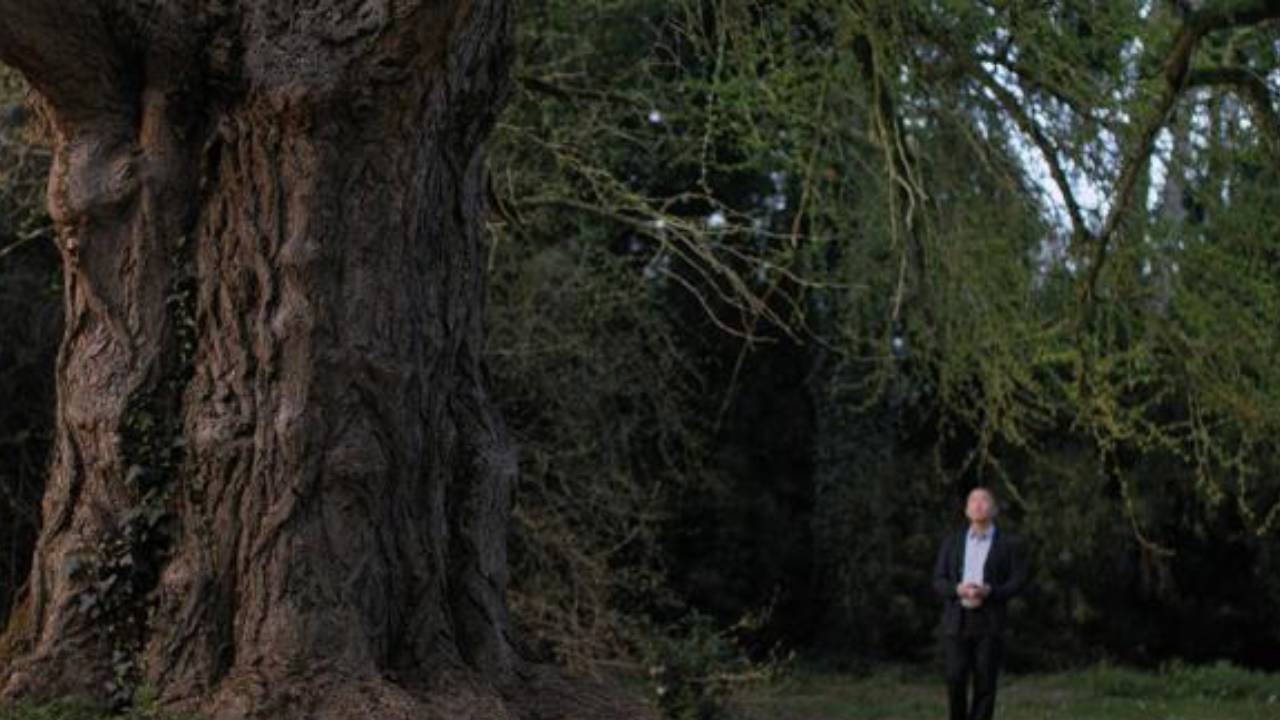 The 82nd Venice Festival is coming to an end: The inner voice of plants, the rhythm of nature...