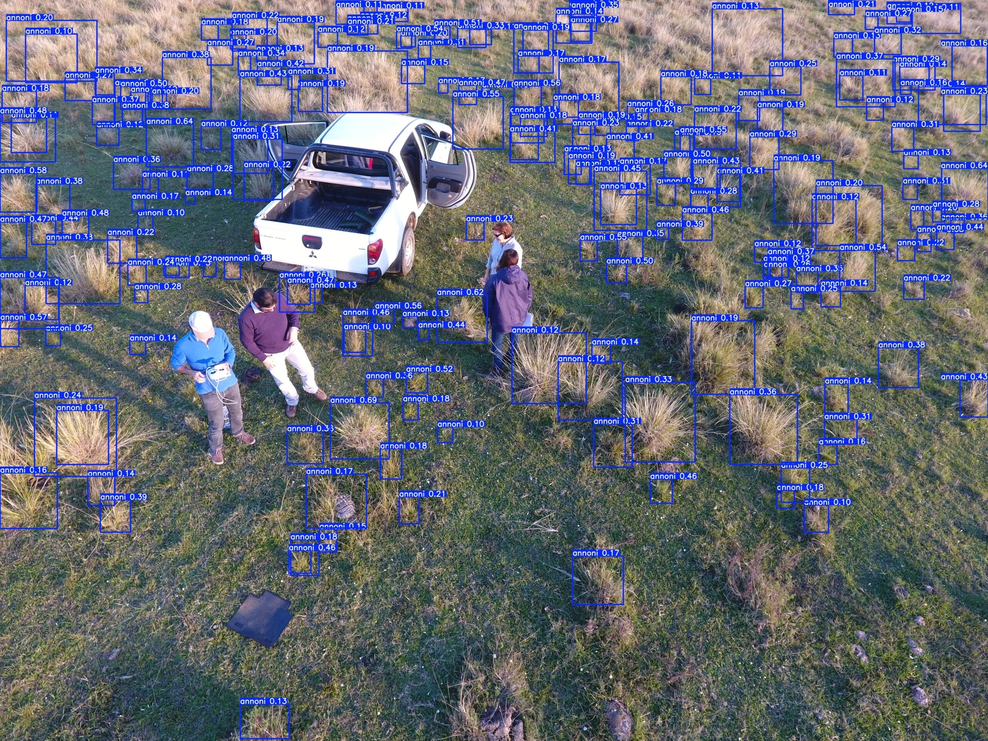 AI at the service of the field: Brazilian project receives support from giant Nvidia