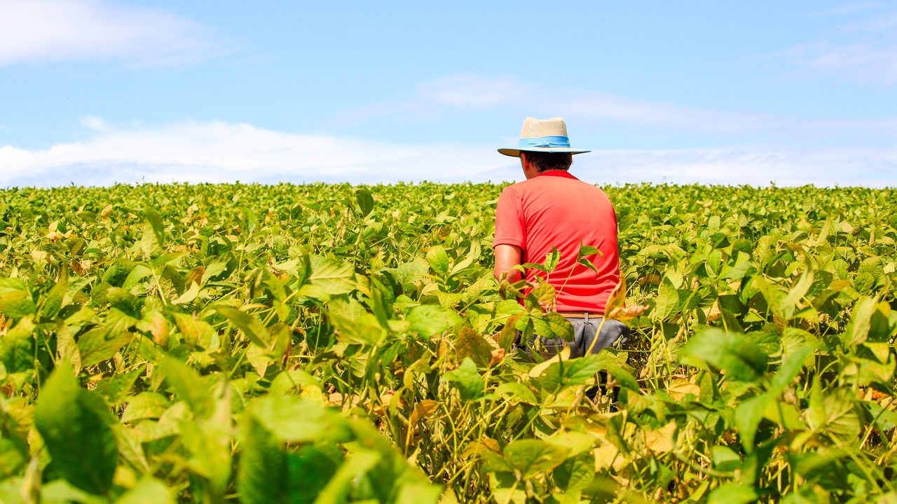 Governo libera R$ 12 bilhões para renegociar dívidas de até 100 mil produtores