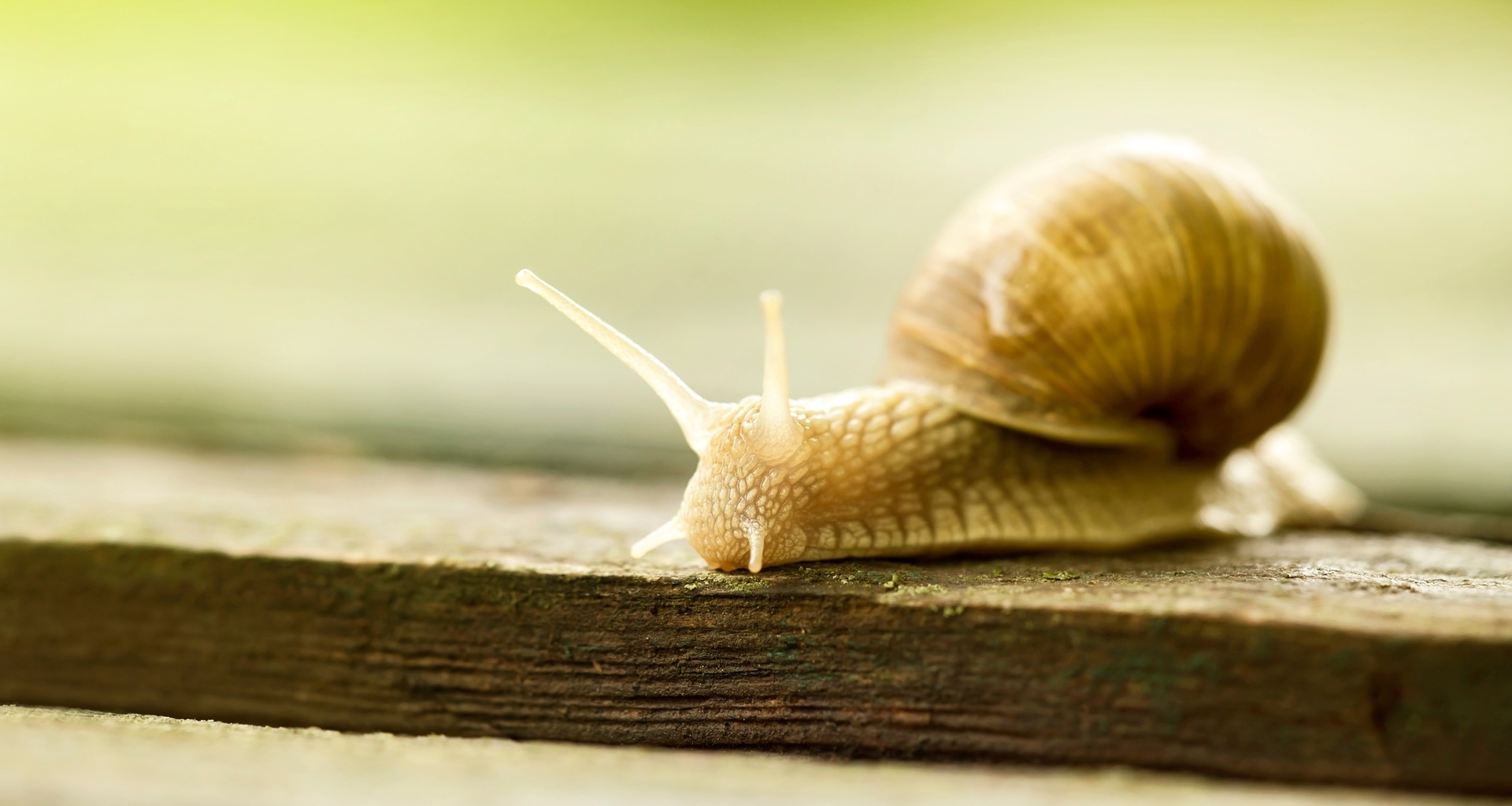 Strategies to Boost Sales of Slow Selling Products for Better Profitability