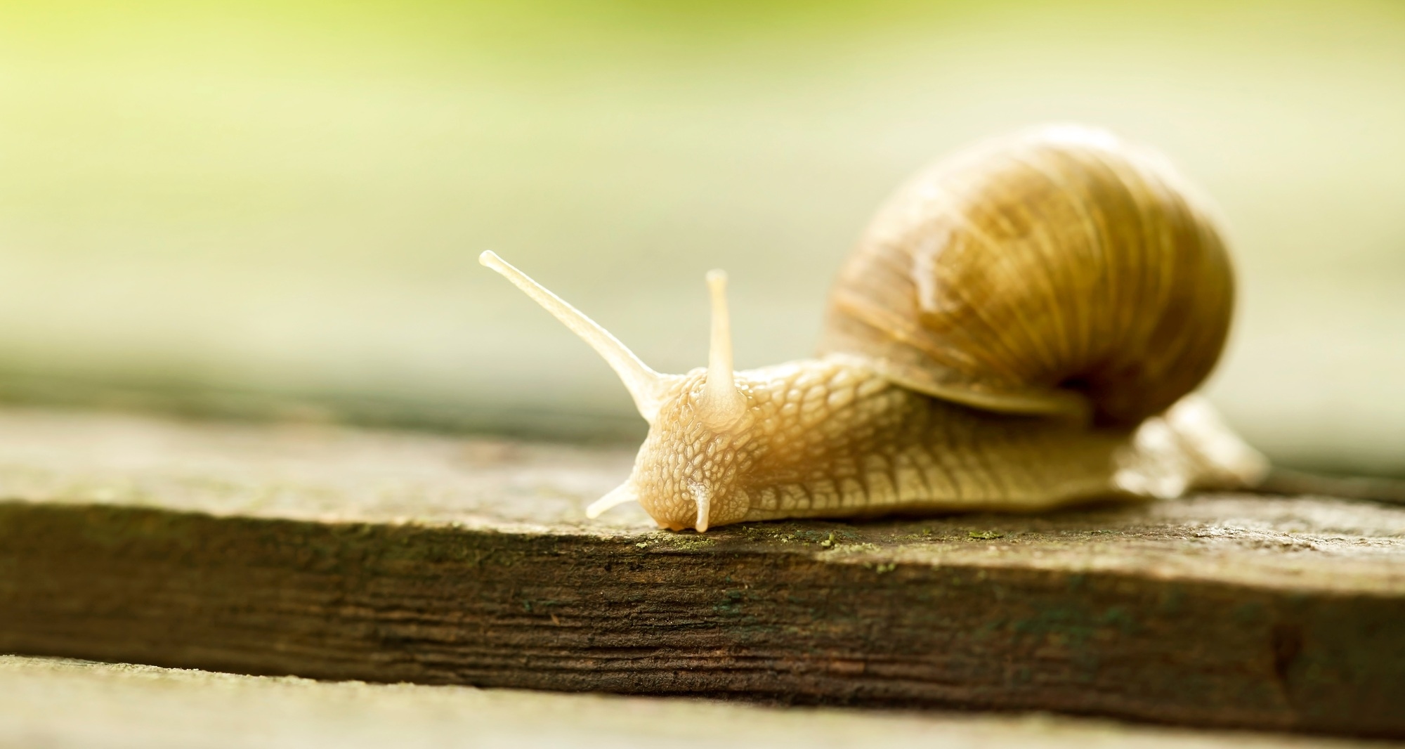 Strategies to Boost Sales of Slow Selling Products for Better Profitability