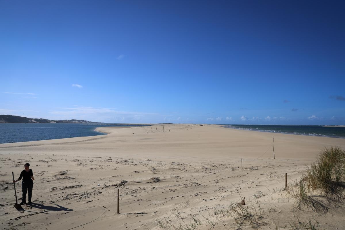 Arcachon Basin: on the Banc d'Arguin, space is becoming scarce, infractions are decreasing, and so is attendance