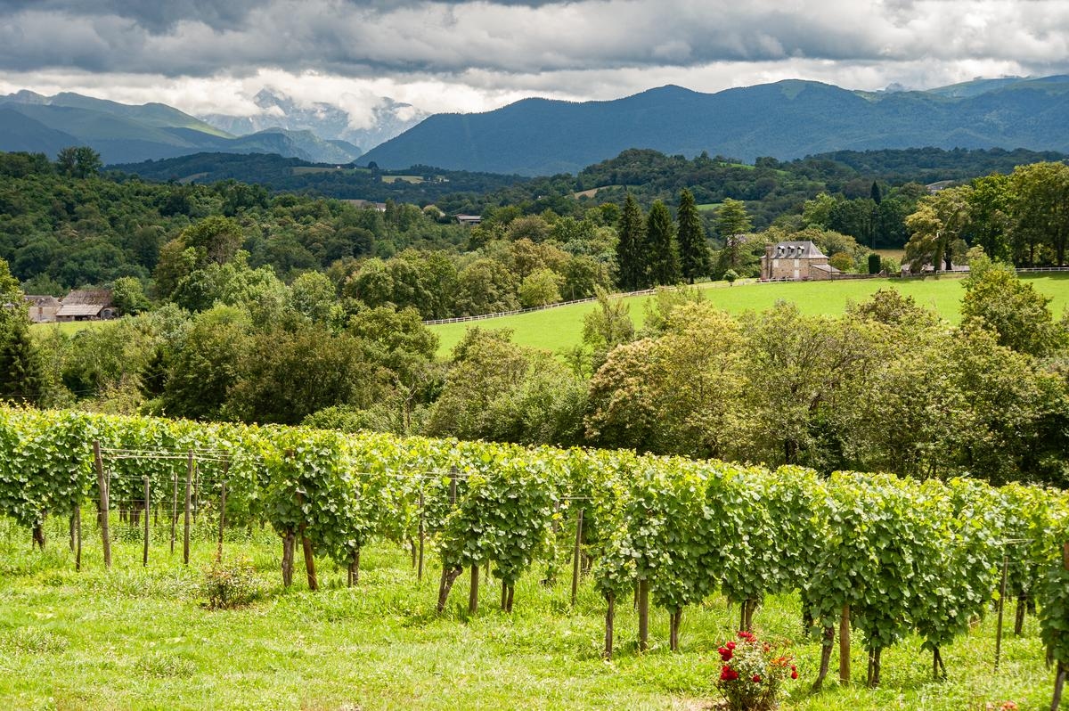 Férias em Béarn: onde provar Jurançon, um vinho de uma terra abençoada pelos deuses?