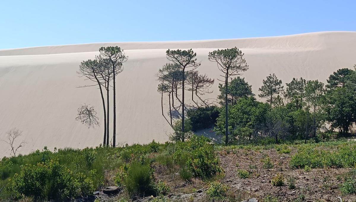 Arcachon Bay: de Pilatduin, een monument van zand in voortdurende beweging gedurende duizenden jaren