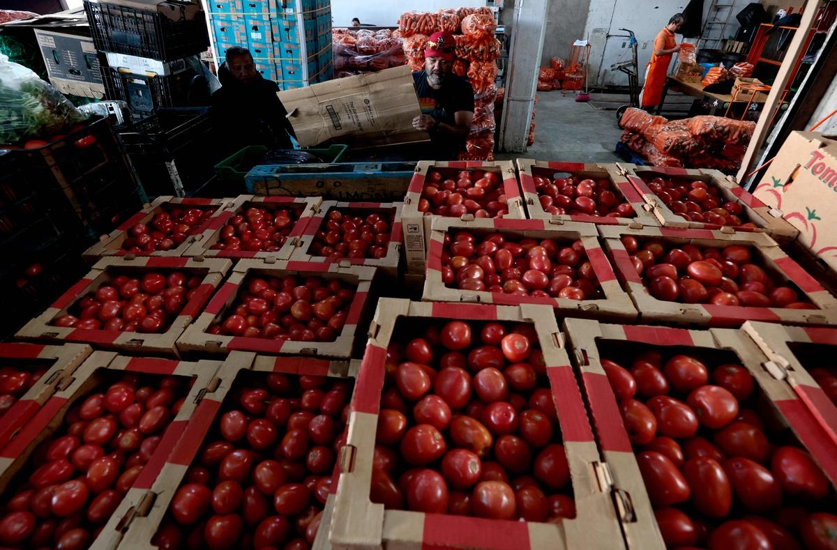 Tarifa de 17% sobre tomates mexicanos, que representam 90% do consumo dos EUA