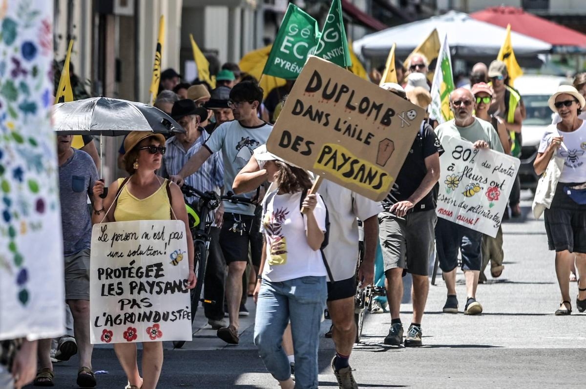 Petição contra a Lei Duplomb: um estudante de Bordeaux por trás da mobilização recorde