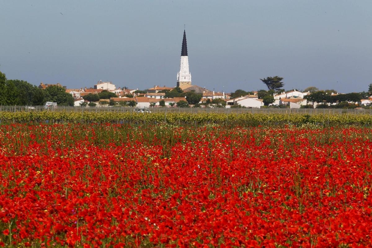 Île de Ré: Tatilinizde neler yapmalı, neler görmeli, nerede yemek yemeli ve nerede konaklamalısınız?