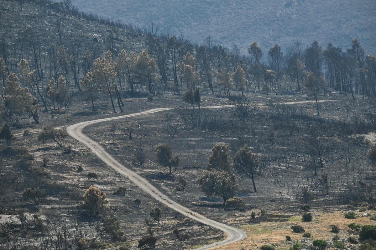 Speed, results, origin... What we know about the historic fire in Aude
