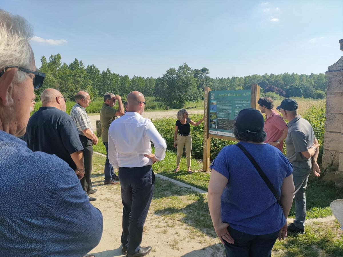 Liron Yolu ve büyük piknik: Médoc Bölgesel Doğa Parkı ziyaretçileri denemeye teşvik etmek istiyor