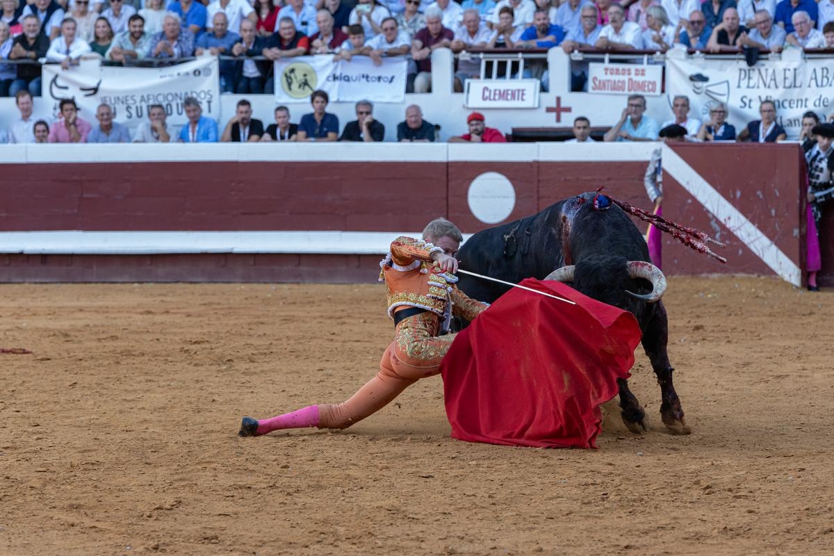 Toros y salsa 2025 in Dax: Echos vom Stierkampf-Callejon am Sonntag, 14. September