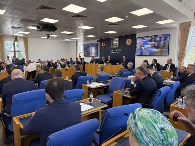 Komisja przyjęła projekt ustawy, który umożliwi wydobycie oliwek