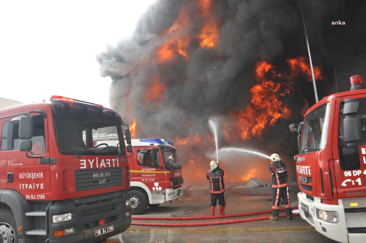 Latest situation in forest fires: 10 thousand hectares of land turned into ashes
