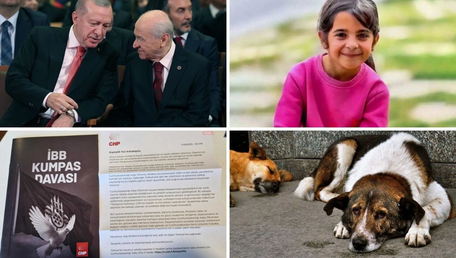 Lo que necesitas saber hoy (21 de agosto de 2025)