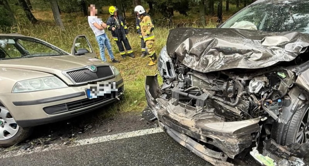 Ernstig ongeluk. Drie mensen gewond, hond gedood.