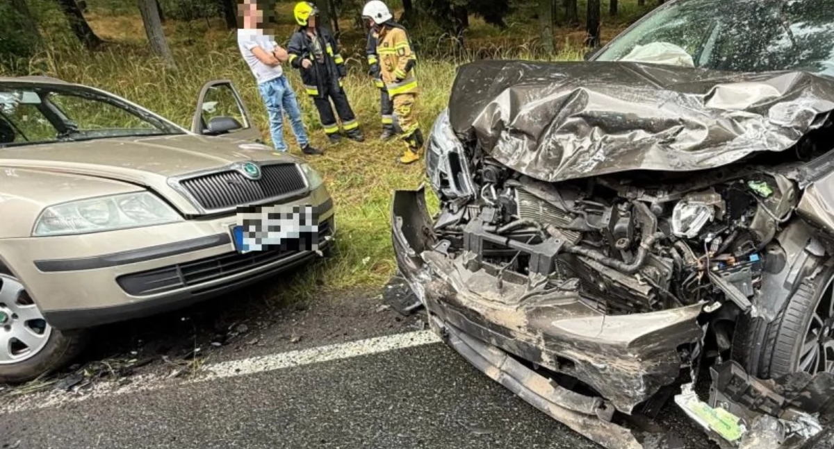 Un cane è morto nel bagagliaio. Come trasportare un animale domestico in auto?