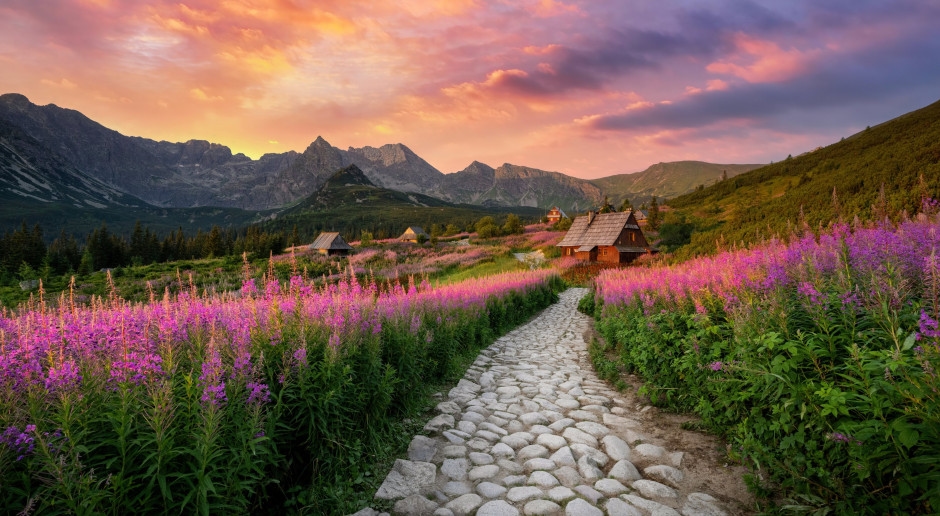 Hala Gąsienicowa is awash in pink. Crowds flock to the Tatra Mountains for this moment.