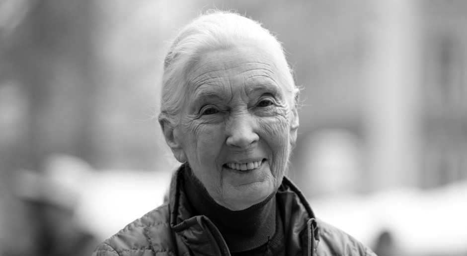 Jane Goodall est décédée. « Elle inspirait la curiosité, l'espoir et la compassion »