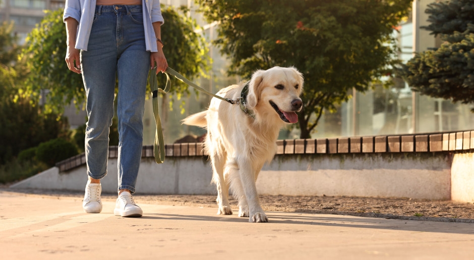 Mahalle grupları, apartmanlarının önünde köpek gezdirilmesini yasaklıyor. Kurallar gayet açık.