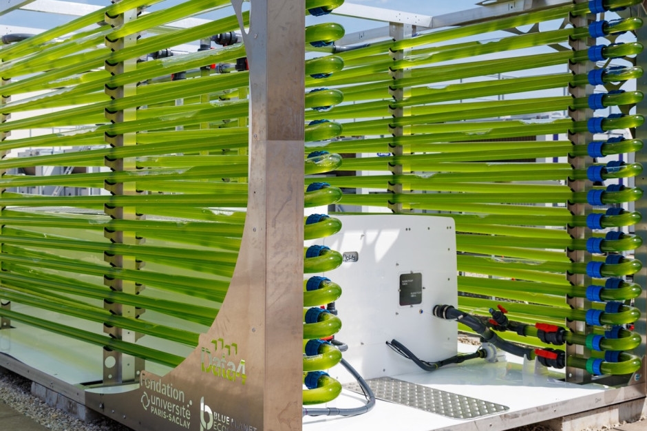 Serverwarmte wordt omgezet in biomassa. Het eerste datacenter ter wereld.