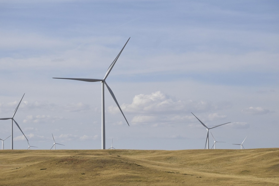 El Estado debe tener control sobre las redes energéticas. Sin embargo, existen debilidades visibles.