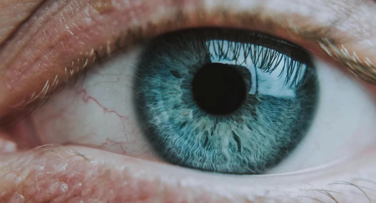 Nova esperança para pacientes com glaucoma: terapia genética em vez de colírios diários