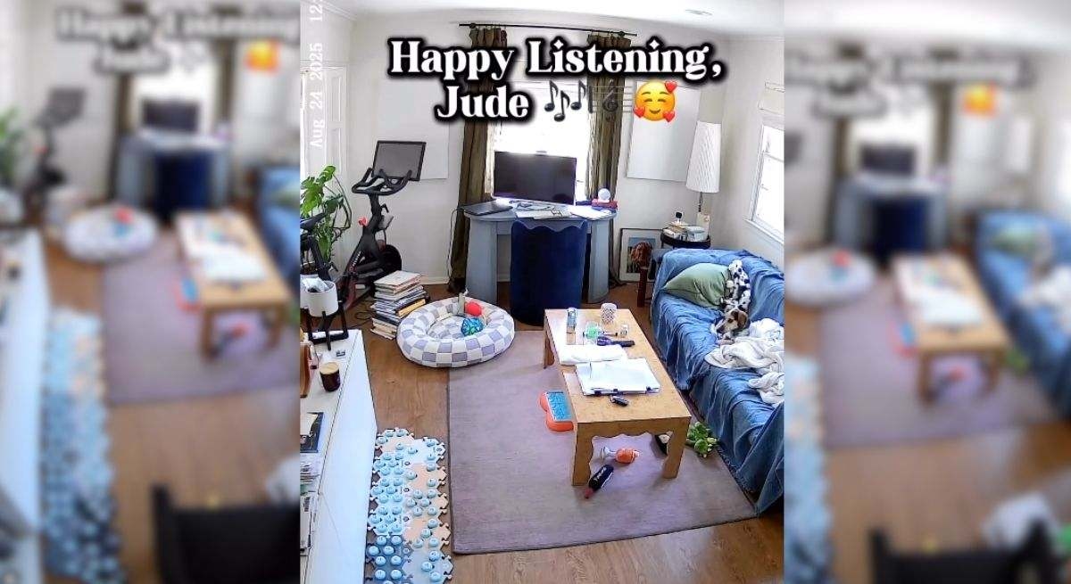 Uma câmera de segurança captura um cachorro usando Alexa para tocar suas músicas favoritas.