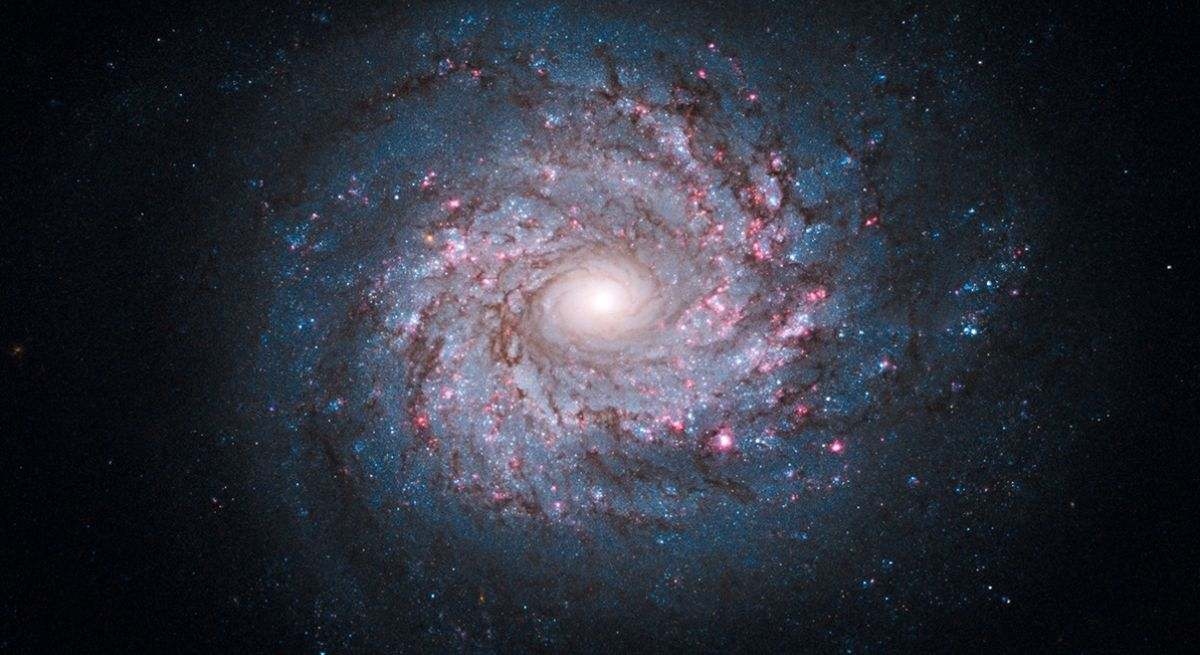 Un colpo di scena inaspettato: alcuni scienziati spagnoli propongono una nuova controversa teoria sull'origine dell'universo.