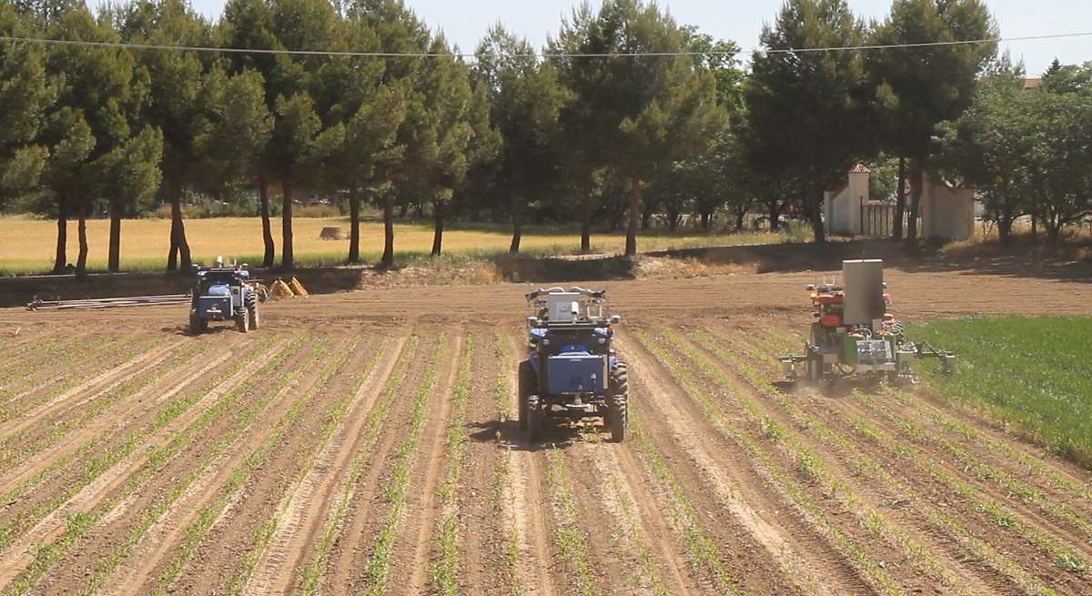 Castilla y León is opnieuw de gemeenschap met de grootste gemiddelde omvang van landbouwbedrijven, 75 hectare