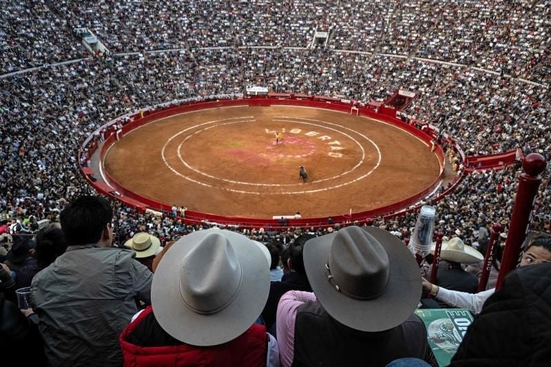 La Plaza México suspend les corridas en raison d'une nouvelle législation : « Le spectacle n'est pas viable sans violence. »