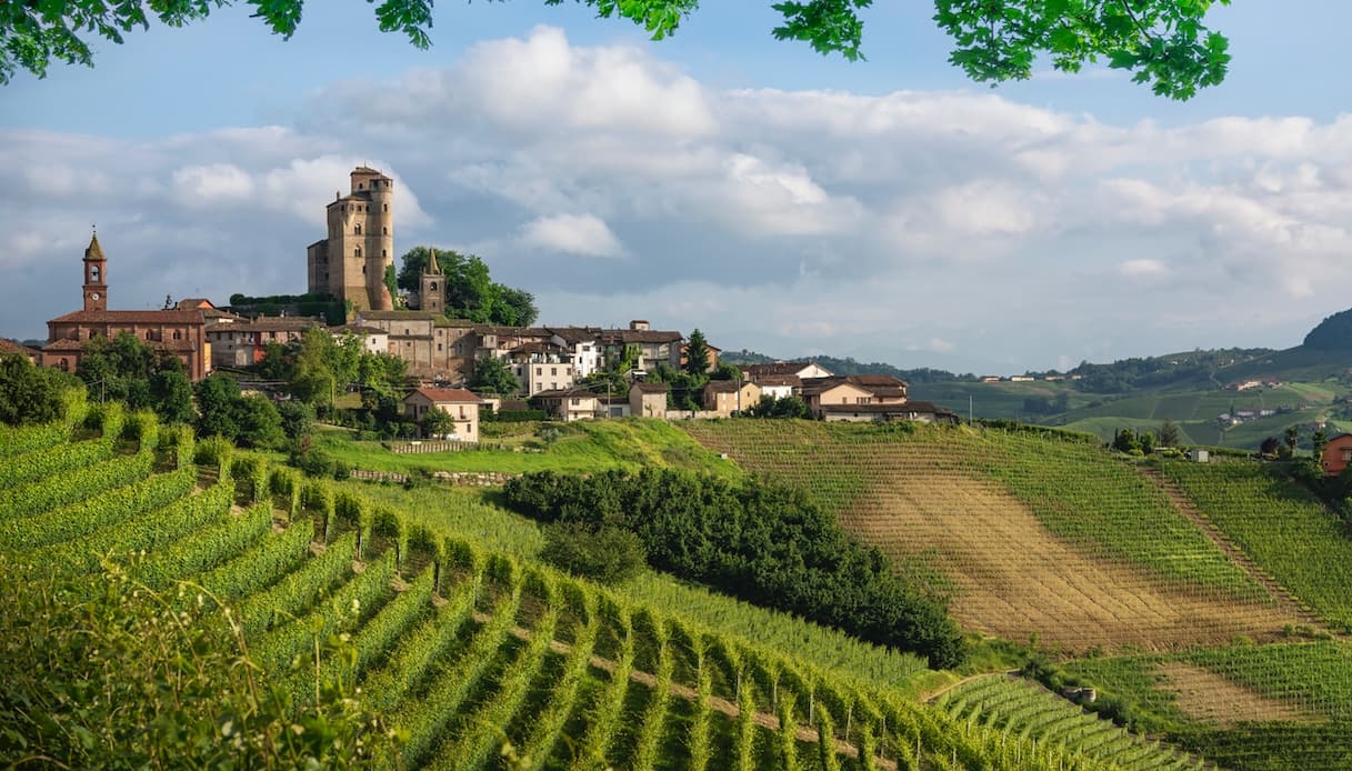 Piedmont'taki Açık Kaleler: 27 Temmuz 2025 Pazar Günü Etkinlikleri