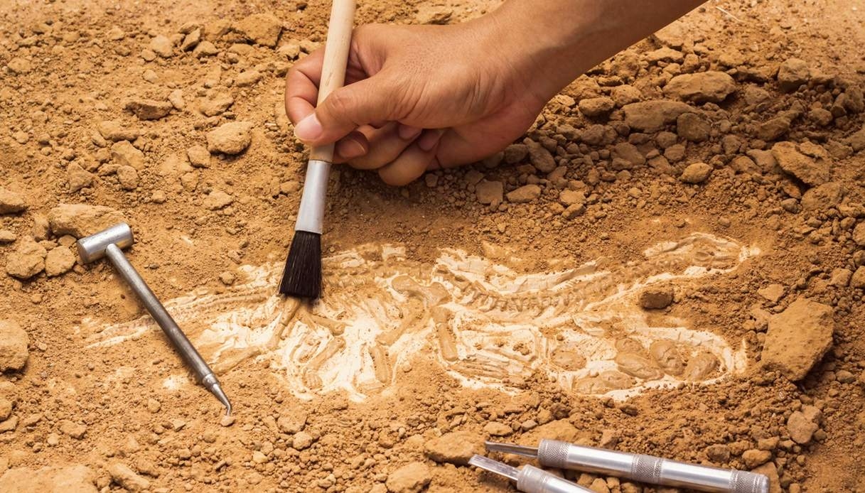 Göbekli Tepe Yine Şaşırttı: Türkiye'de 12.000 Yıllık İnsan Heykeli Bulundu