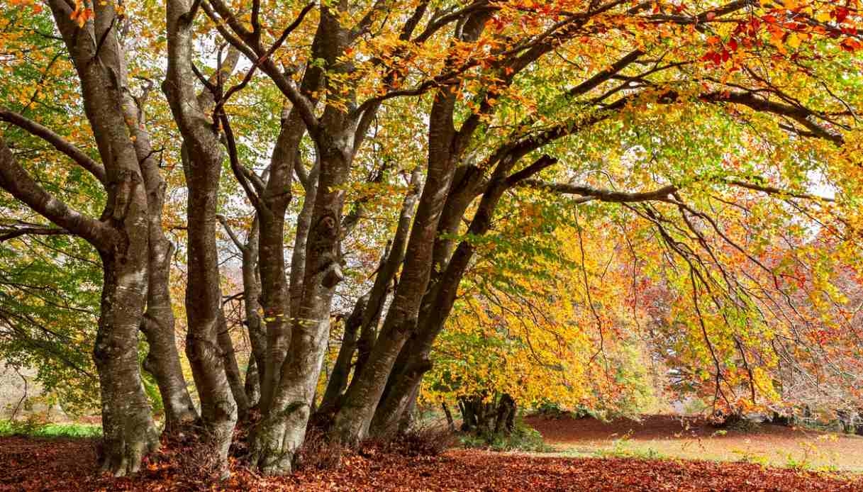 Herbst im Freien: Die instagramtauglichsten Wanderwege, die Sie jetzt ausprobieren sollten