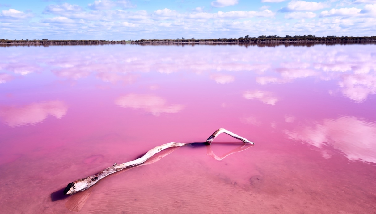 Het beroemde roze meer van Kazachstan gaat weer open, nadat het vijf jaar lang gesloten was vanwege nepnieuws.