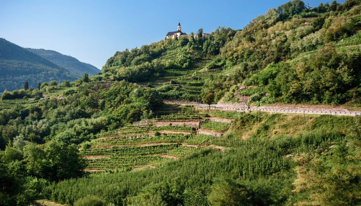 Alla scoperta della Val di Cembra: un viaggio a ritmo lento tra natura, vigneti e borghi storici