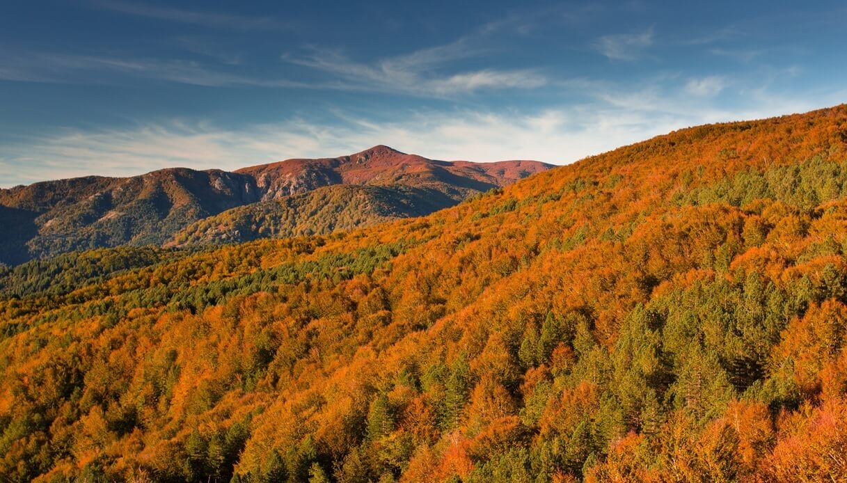 Calabria: on the sun-drenched trails of Aspromonte, every rock turns to gold.
