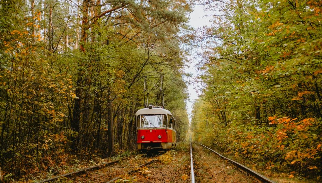 Herfstfestivals op de trein: rustige routes door dorpen en traditionele gerechten