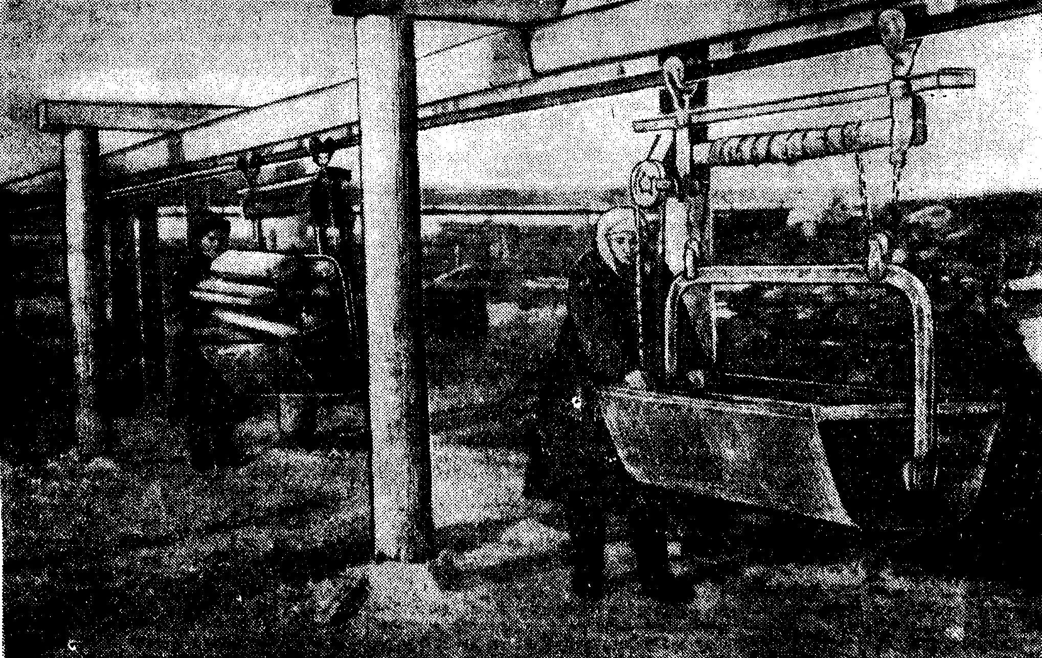 Crônica de 1954. (Das páginas de "Sakhalina Soviética")