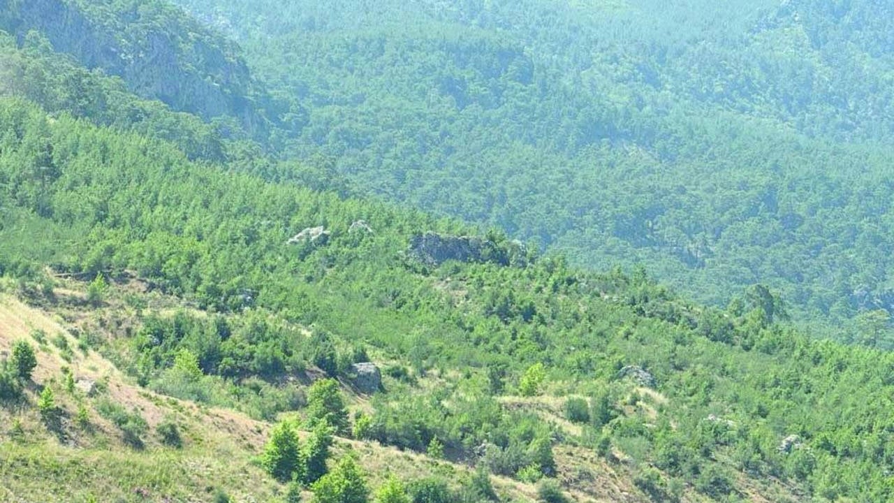 Nuryol talandan vazgeçmiyor