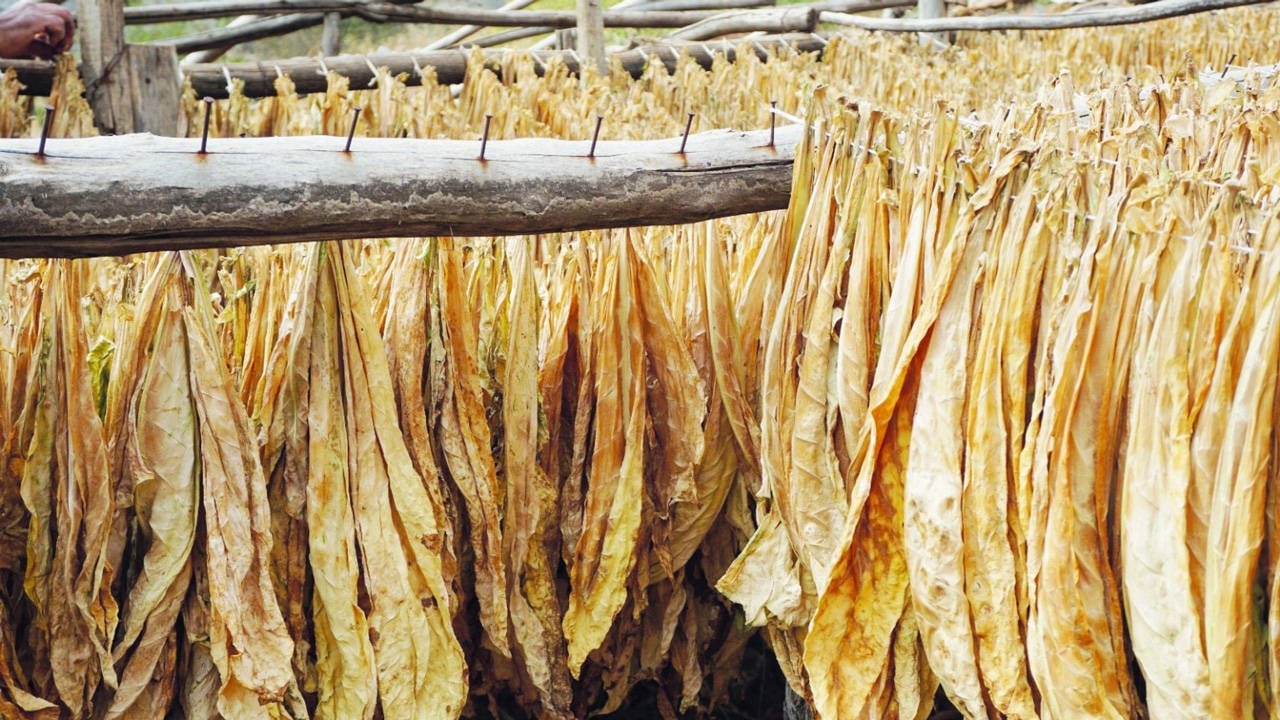 Un llamado a reconciliarse con la naturaleza