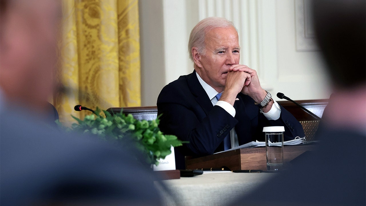 Democratic donors reluctant to give to Biden's presidential library: report