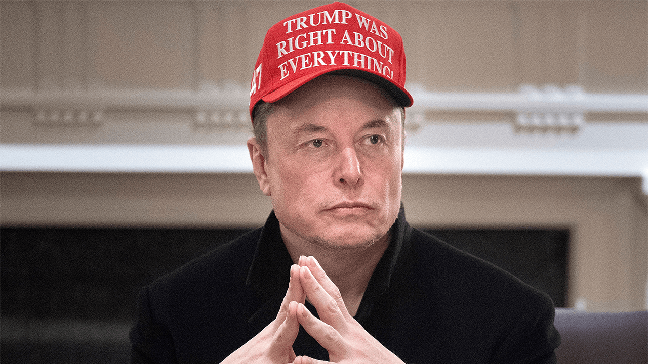 Elon Musk connects with indie Andrew Yang on billionaire former Trump ally's third party push