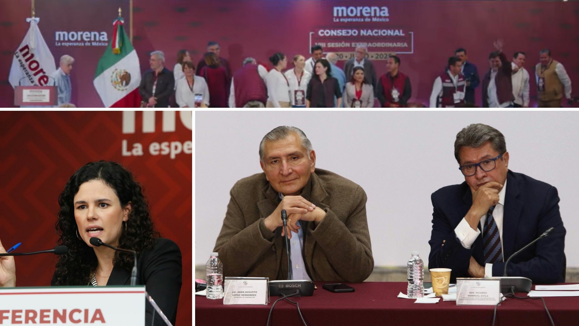 Luisa Alcalde, "Morena, üye olsun ya da olmasın, kimseyi korumuyor." diyor.