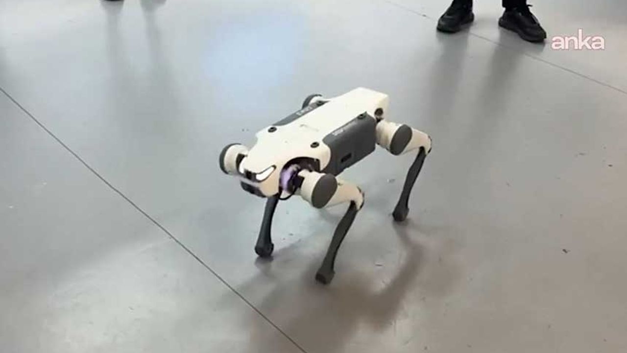 O robô alucinante da China