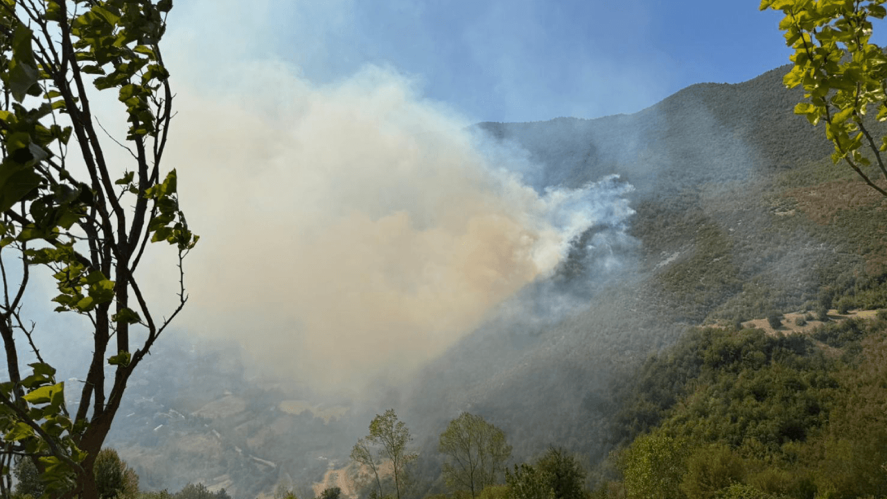 Forest fire in Küre Mountains National Park!