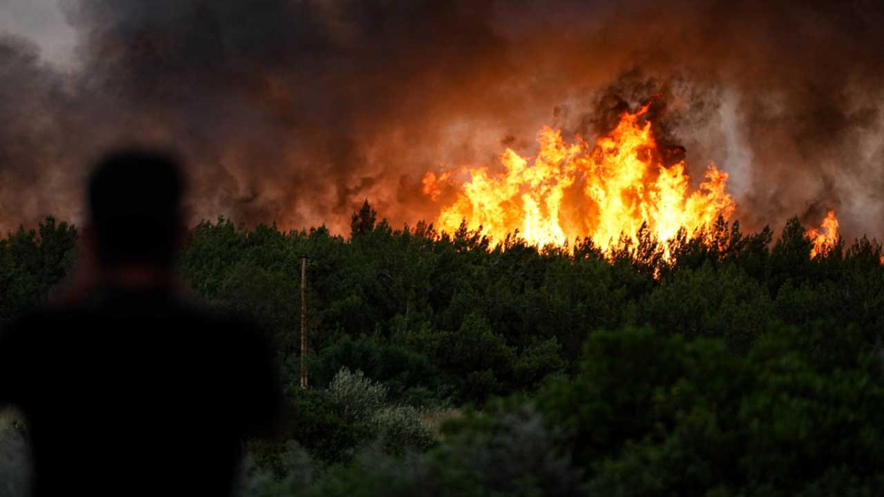 Denial of the 'PKK' claim regarding the forest fires