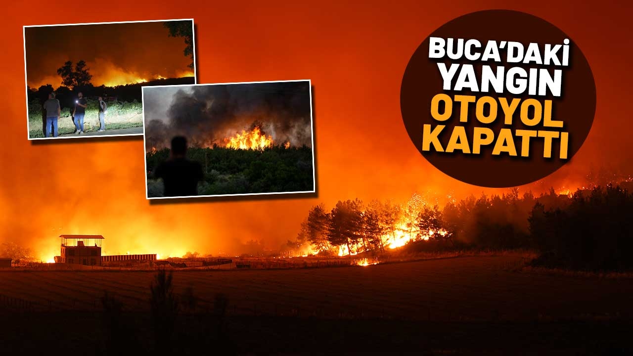 Fighting fires continues in Izmir! Flames advance to residential area