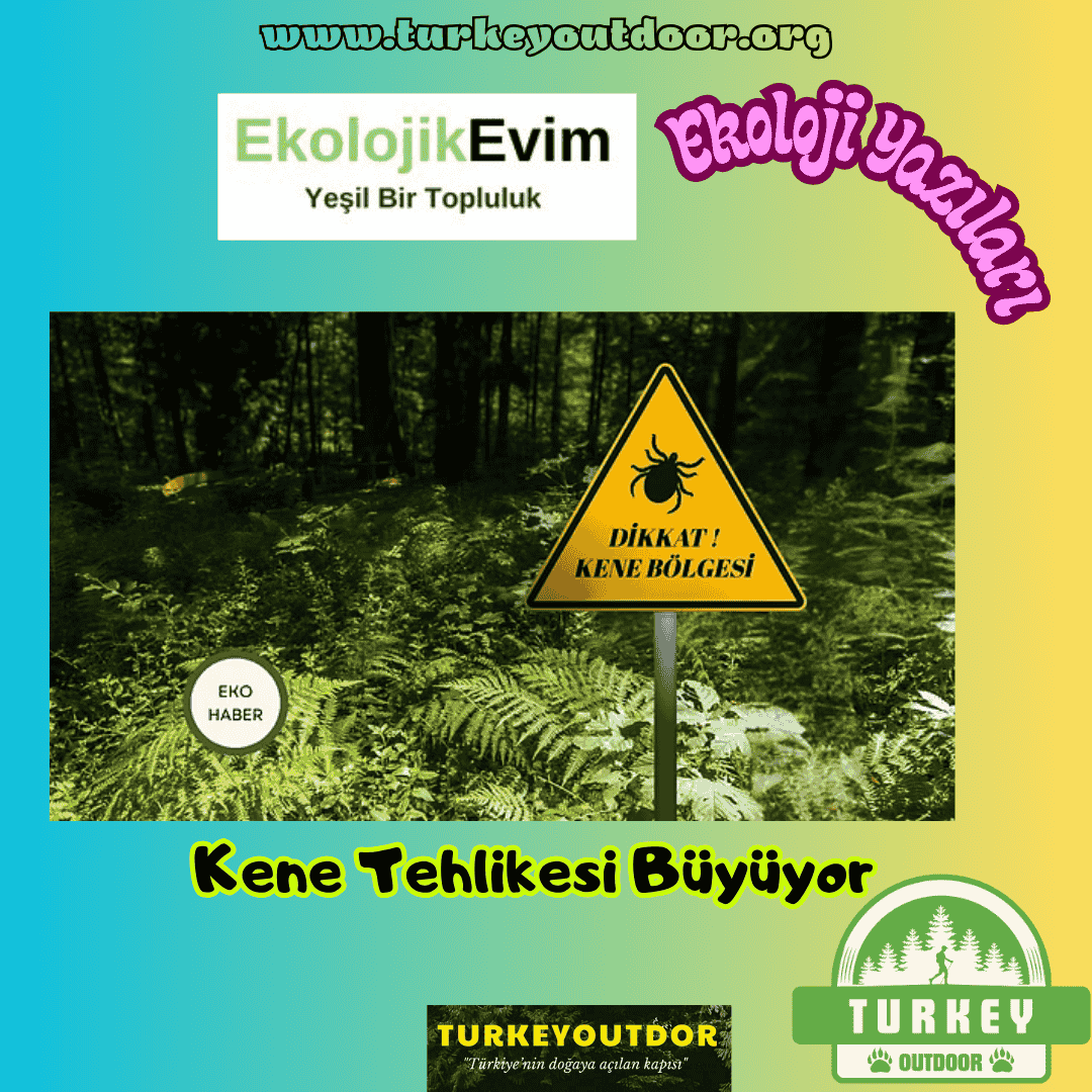 Kene Tehlikesi Büyüyor