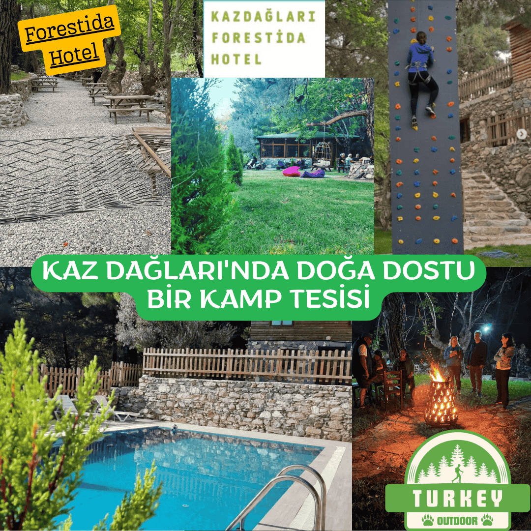 El hotel ecológico Forestida en las montañas Kaz espera a los amantes de la naturaleza.